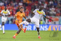 FUSSBALL WM 2022 Vorrunde: Senegal - Niederlande