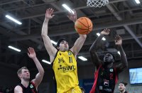 Basketball 2. Bundesliga 22/23: Tigers Tuebingen - Artland Dragons