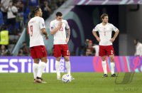 FUSSBALL WM 2022 Vorrunde: Frankreich - Daenemark