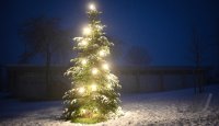 Schmuckbild, Wetterbild: Weihnachtsbaum Umspannwerk Rottenburg