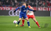 Fussball 1. Bundesliga 23/24: FC Bayern Muenchen - TSG 1899 Hoffenheim