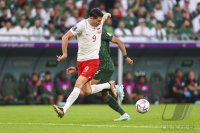 FUSSBALL WM 2022 Vorrunde: Polen - Saudi-Arabien