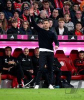 Fussball 1. Bundesliga 24/25: FC Bayern Muenchen - Bayer 04 Leverkusen