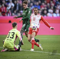 Fussball 1. Bundesliga 23/24: FC Bayern Muenchen - Borussia Moenchengladbach