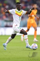 FUSSBALL WM 2022 Vorrunde: Senegal - Niederlande