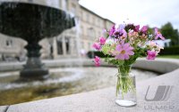 Wetterbild / Schmuckbild; Sommerblumen / Wiesenblumenstrauss