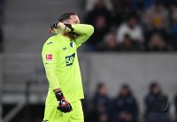 Fussball 1. Bundesliga 23/24: TSG 1899 Hoffenheim - SV Darmstadt 98