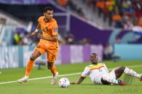 FUSSBALL WM 2022 Vorrunde: Senegal - Niederlande