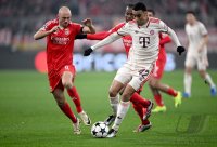 Fussball International CHL 24/25: FC Bayern Muenchen - Benfica Lissabon