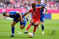 Fussball 1. Bundesliga 22/23: FC Bayern Muenchen - FC Schalke 04