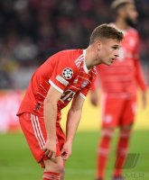 Fussball International CHL 22/23: FC Bayern Muenchen - Manchester City