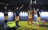 Basketball 1. Bundesliga 23/24: Tigers Tuebingen - HAKRO Merlins Crailsheim