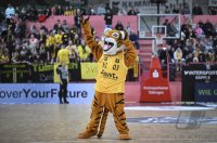 Basketball 2. Bundesliga 24/25: Tigers Tuebingen - VfL SparkassenStars Bochum