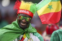 FUSSBALL WM 2022 Vorrunde: Senegal - Niederlande