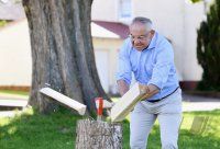 Fussball 1. Bundesliga Saison 21/22: Trainer Felix Magath