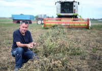 Neustetten (Kreis Tuebingen): Bio Landwirt Braun mit einem Anbauversuch von Kichererbse