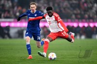 Fussball 1. Bundesliga 23/24: FC Bayern Muenchen - TSG 1899 Hoffenheim