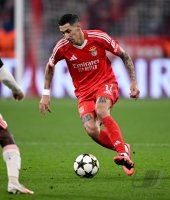 Fussball International CHL 24/25: FC Bayern Muenchen - Benfica Lissabon