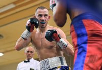 Boxen: Fight in Tuebingen in der Hepperhalle