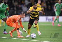 FUSSBALL Champions League Qualifikation 23/24: BSC Young Boys Bern - Maccabi Haifa