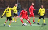 Fussball, Testspiel SV 03 Tuebingen - SSV Reutlingen