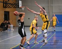 Basketball Reginalliga Suedwest 23/24: SV 03 Tigers Tuebingen - TSG Soeflingen