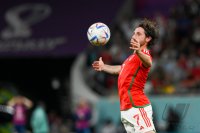 FUSSBALL WM 2022 Vorrunde: Wales - England