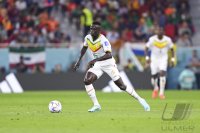 FUSSBALL WM 2022 Vorrunde: Senegal - Niederlande