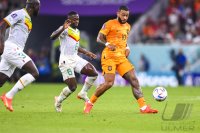 FUSSBALL WM 2022 Vorrunde: Senegal - Niederlande