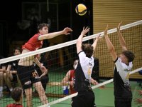 Volleyball 2. Bundesliga  Saison 24/25: Testspiel TV Rottenburg - Barock Volleys Ludwigsburg