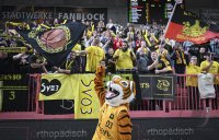 Basketball 2. Bundesliga 24/25: Tigers Tuebingen - Giessen 46ers