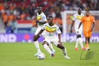 FUSSBALL WM 2022 Vorrunde: Senegal - Niederlande