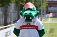 Fussball 1. Bundesliga 2022/2023: Fototermin beim VfB Stuttgart