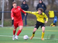 Fussball, Testspiel SV 03 Tuebingen - SSV Reutlingen