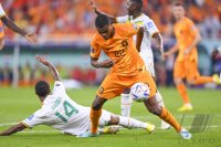 FUSSBALL WM 2022 Vorrunde: Senegal - Niederlande