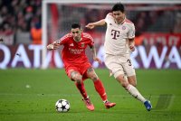 Fussball International CHL 24/25: FC Bayern Muenchen - Benfica Lissabon