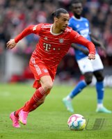 Fussball 1. Bundesliga 22/23: FC Bayern Muenchen - TSG 1899 Hoffenheim