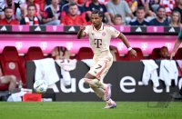 Fussball 1. Bundesliga 24/25: FC Bayern Muenchen - SC Freiburg