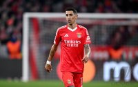 Fussball International CHL 24/25: FC Bayern Muenchen - Benfica Lissabon