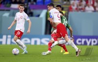 FUSSBALL WM 2022 Vorrunde: Mexiko - Polen