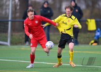 Fussball, Testspiel SV 03 Tuebingen - SSV Reutlingen