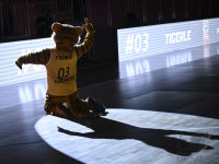 Basketball 2. Bundesliga 24/25: Tigers Tuebingen - SC Rasta Vechta II