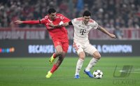 Fussball International CHL 24/25: FC Bayern Muenchen - Benfica Lissabon