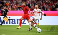 Fussball 1. Bundesliga 24/25: FC Bayern Muenchen - VfB Stuttgart