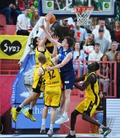 Basketball 2. Liga 22/23 Playoff Viertelfinale: Tigers Tuebingen - Eisbaeren Bremerhaven