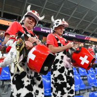 FUSSBALL WM 2022 Vorrunde: Serbien - Schweiz