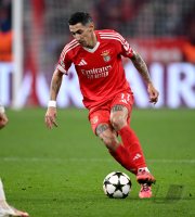 Fussball International CHL 24/25: FC Bayern Muenchen - Benfica Lissabon