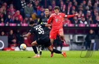 Fussball 1. Bundesliga 22/23: FC Bayern Muenchen - Eintracht Frankfurt