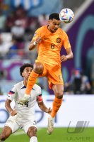 FUSSBALL WM 2022 Achtelfinale: Niederlande - USA