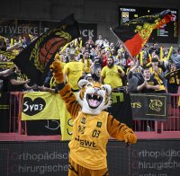 Basketball 2. Bundesliga 24/25: Tigers Tuebingen - Giessen 46ers